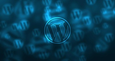 Does it cost high for a Custom WordPress Theme?